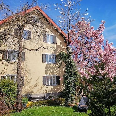 70Qm 3-Zimmer Apartment Am Tauernradweg In Hallein Bei Salzburg, Nahe Berchtesgaden, Rossfeld, Kehlsteinhaus, Obersalzberg, Watzmann, Schoenau Am Koenigsee, Bad Vigaun, Schloss Hellbrunn, Burg Hohen Salzburg, Burg Hohen Werfen # Beherbergungsbetrieb Exterior foto