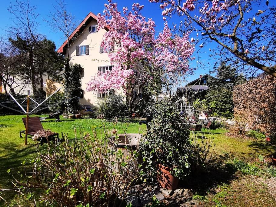 70Qm 3-Zimmer Apartment Am Tauernradweg In Hallein Bei Salzburg, Nahe Berchtesgaden, Rossfeld, Kehlsteinhaus, Obersalzberg, Watzmann, Schoenau Am Koenigsee, Bad Vigaun, Schloss Hellbrunn, Burg Hohen Salzburg, Burg Hohen Werfen # Beherbergungsbetrieb Exterior foto