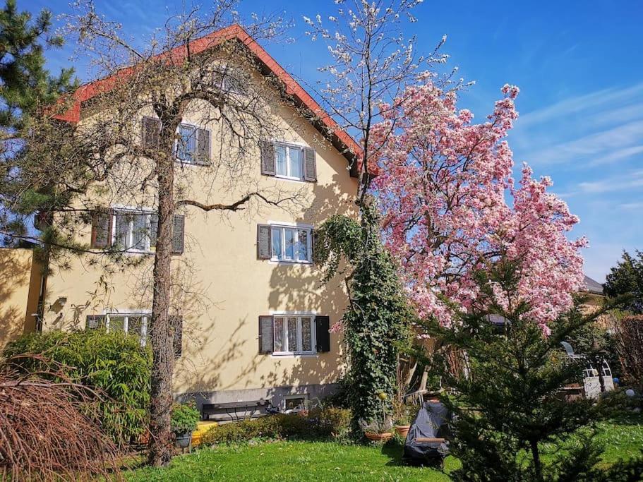 70Qm 3-Zimmer Apartment Am Tauernradweg In Hallein Bei Salzburg, Nahe Berchtesgaden, Rossfeld, Kehlsteinhaus, Obersalzberg, Watzmann, Schoenau Am Koenigsee, Bad Vigaun, Schloss Hellbrunn, Burg Hohen Salzburg, Burg Hohen Werfen # Beherbergungsbetrieb Exterior foto